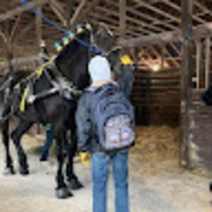 Meet your Posher, Grayson